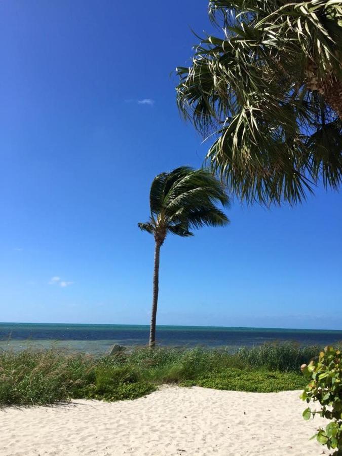 Paradise Found Cayo Hueso Zewnętrze zdjęcie
